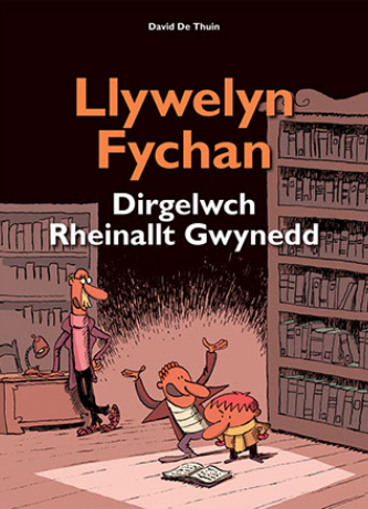 Llywelyn Fychan : Dirgelwch Rheinallt Gwynedd