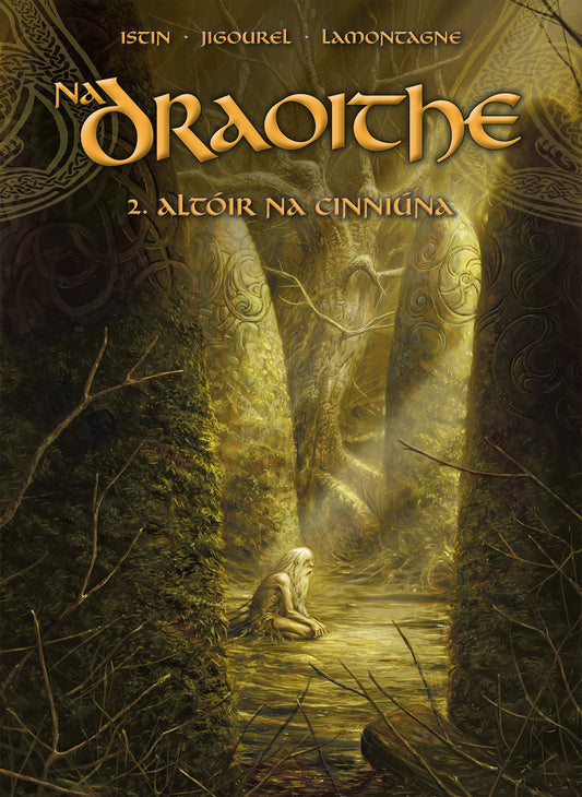 Na Draoithe 2. Altoir na Cinniuna