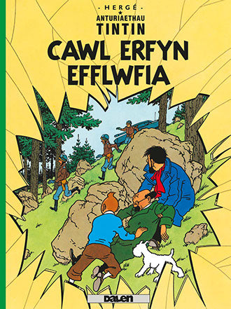 Cawl Erfyn Efflwfia