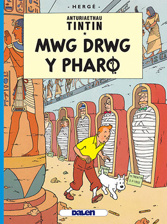 Mwg Drwg y Pharo